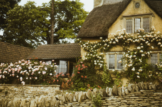 The Best Storage Solutions for Cottagecore Homes