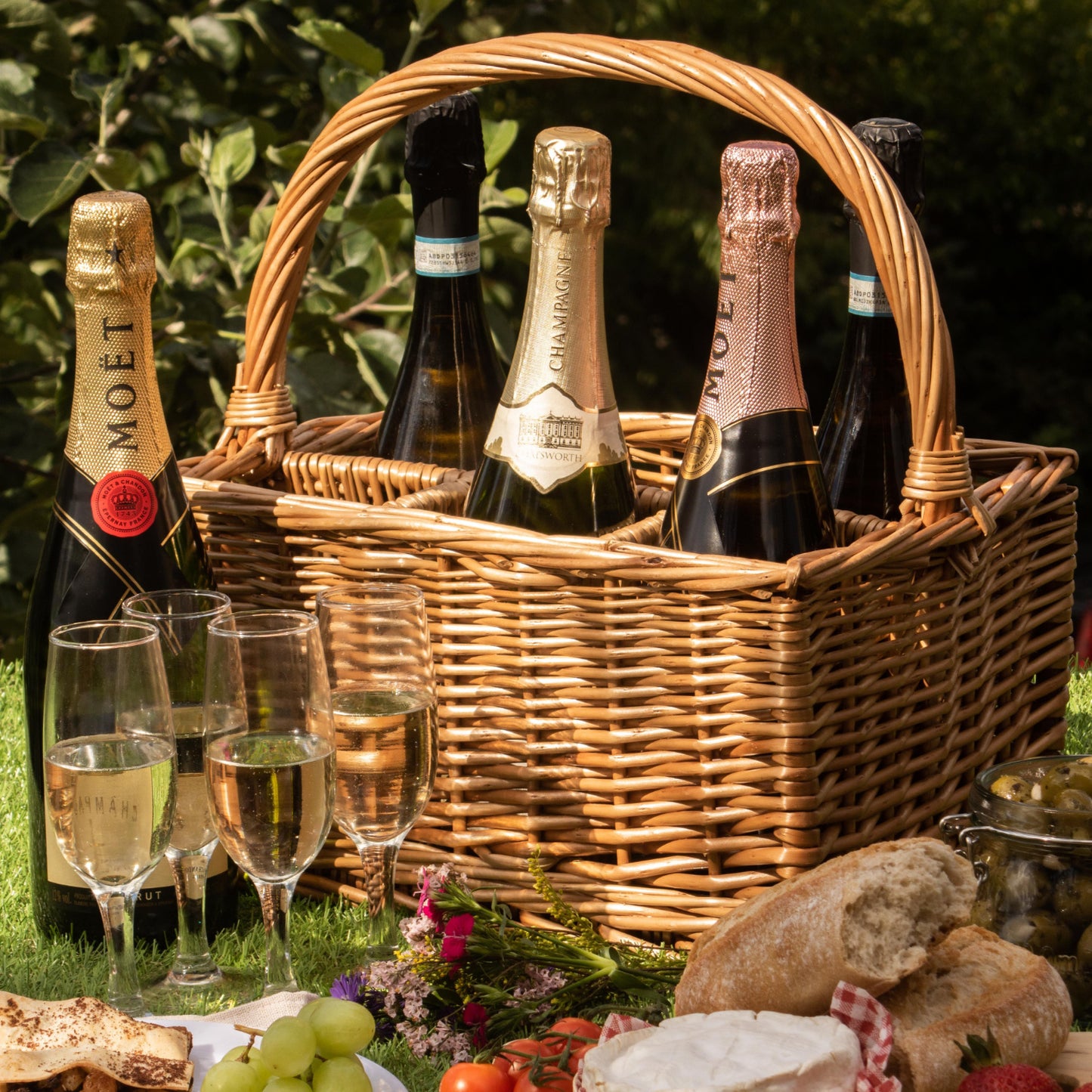 Double Steamed 6 Bottle Wine Carrier