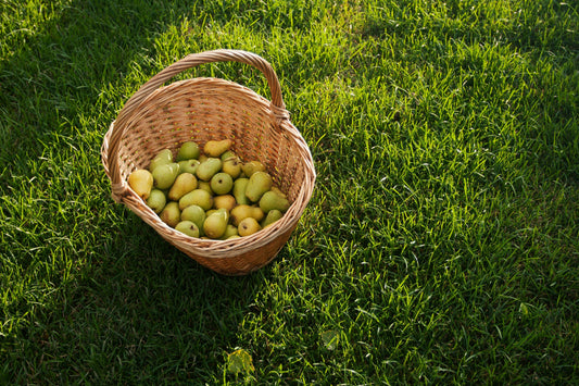A Gardener's Guide to Harvest Baskets and Trugs