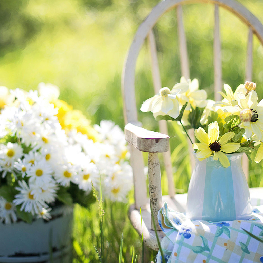 Mother's Day and Spring in the Air