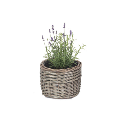 Small Round Antique Wash Lined Willow Planter