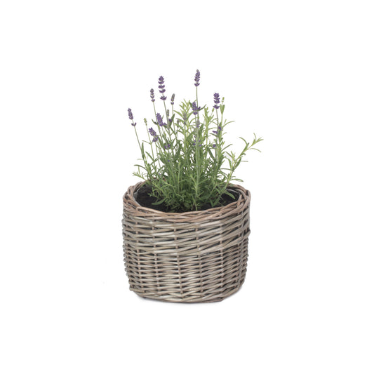 Small Round Antique Wash Lined Willow Planter