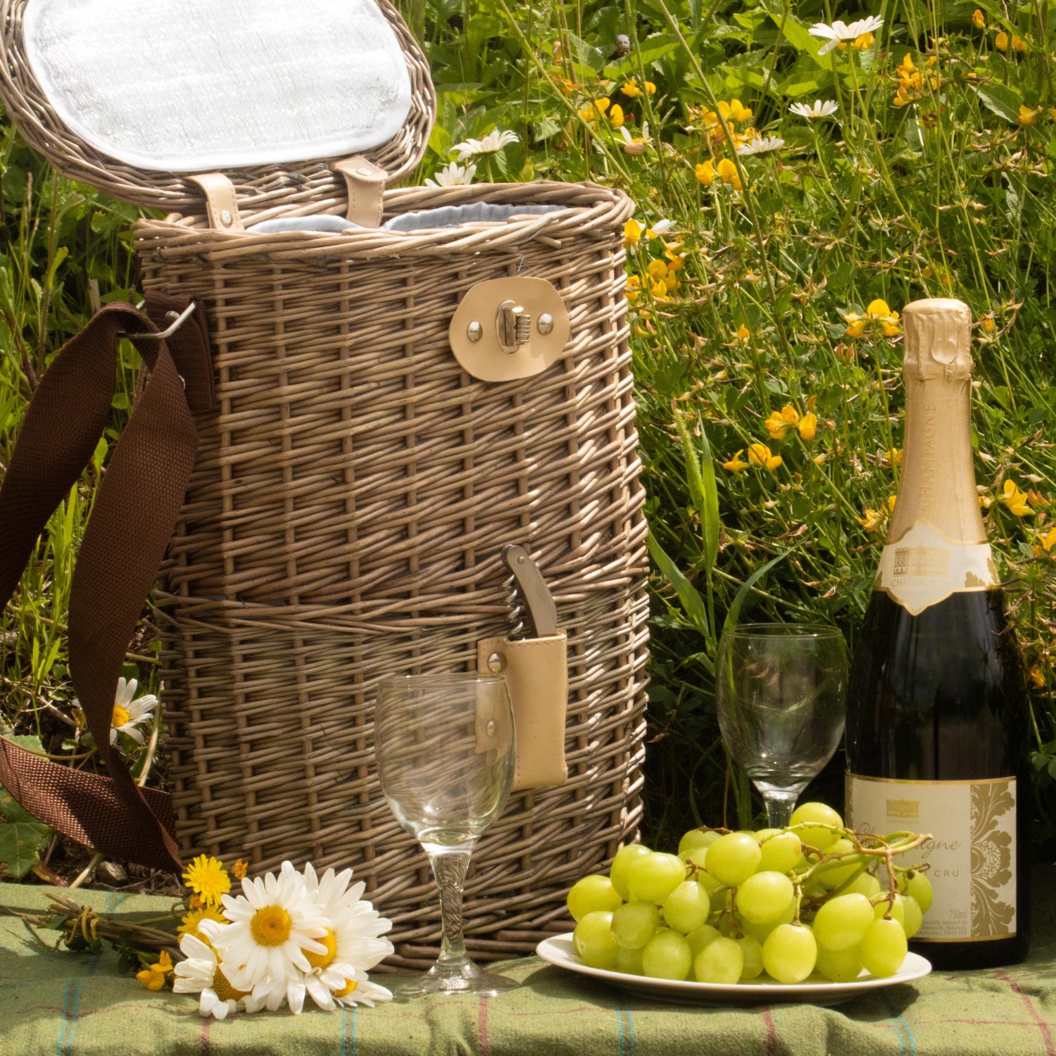 2 Bottle Chilled Carry Basket