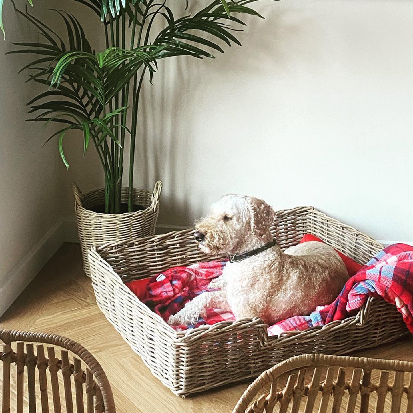 Wovenhill Kubu Rattan Rectangular Pet Bed