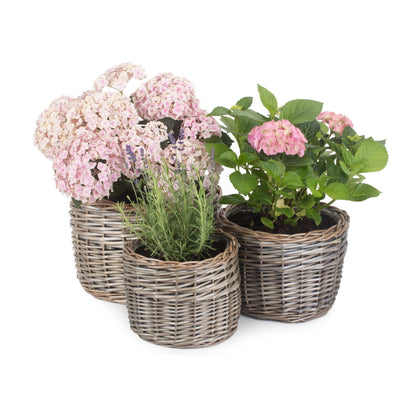 Round Antique Wash Lined Willow Planter Set 3