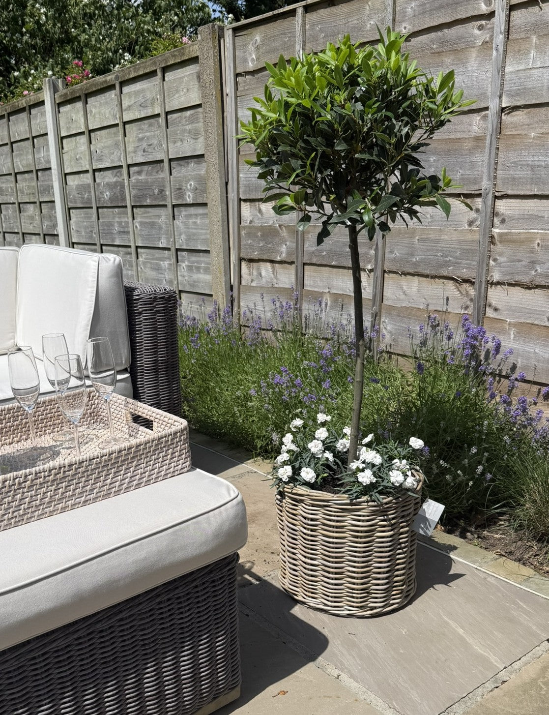 Garden Planters