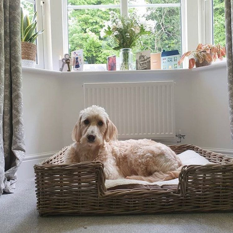 Wovenhill Kubu Rattan Rectangular Pet Bed