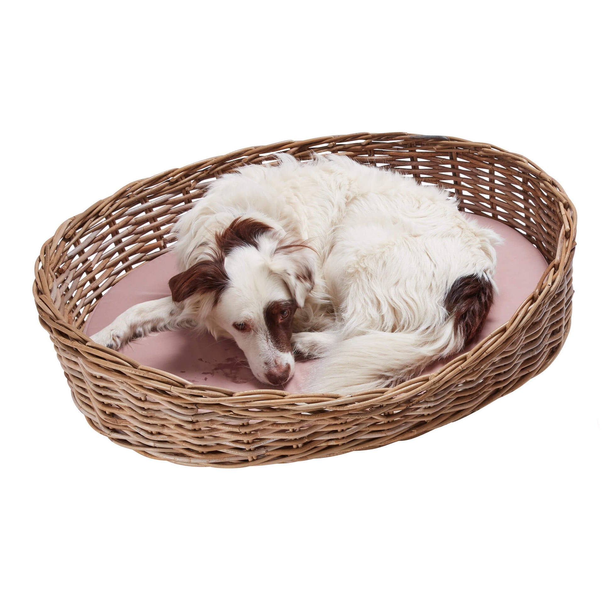 Wovenhill Kubu Rattan Oval Pet Bed